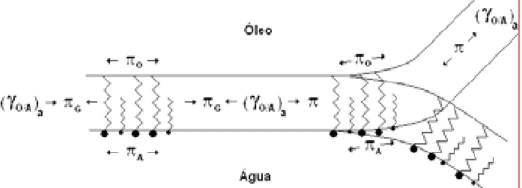Figura 2.9 – Representação da formação de microemulsão em relação ao gradiente da tensão  interfacial entre as fases aquosa e oleosa