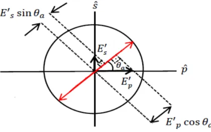 FIGURA 2.9  – Representação da decomposição do campo elétrico refletido pela amostra, nas componentes paralela  e perpendicular ao eixo de transmissão do analisador