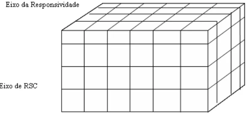 Fig. 15 – Diagrama em 03 dimensões de RSC  Fonte: Carroll (1979) 