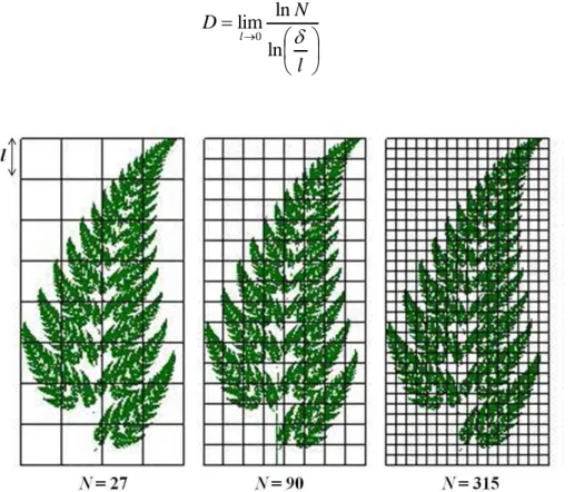 Fig. 3.5. Fractal coberto por malha de quadrículos do método da contagem de caixas. 