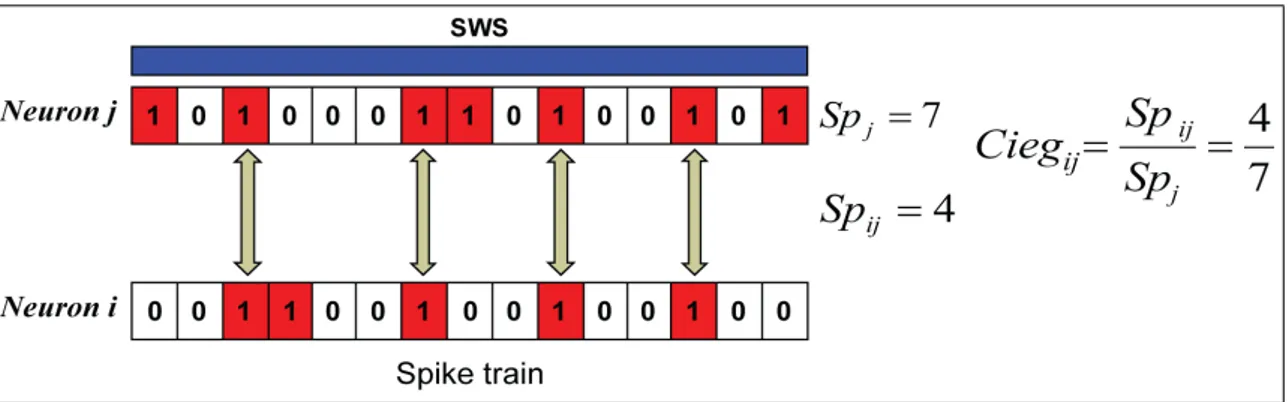 Figura 4.4: Calculando Cieg i j baseado nos disparos sincronizados durante SWS. Na segunda, as conexões sinápticas w i j foram selecionadas com base no ângulo (β i j ) formado pelos valores w i j (t) na transição SWS/REM