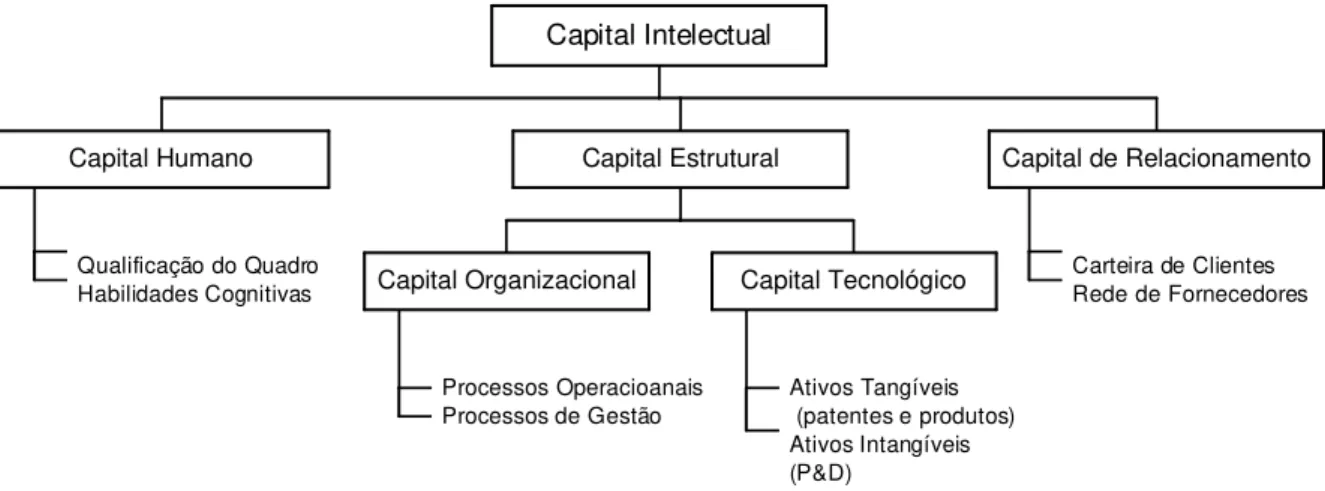 Figura 2: Definição Esquemática dos Componentes do Capital Intelectual 