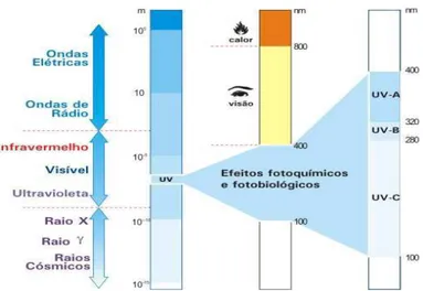 Figura 2.3- Espectro eletromagnético da radiação UV. 