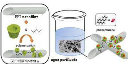 Figura 3: Esquema de Purificação adaptada de KAYACI et al, 2013 