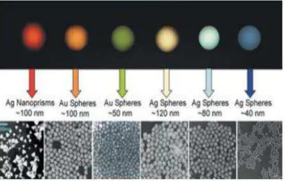 Figura 5: Correlação do tamanho e geometria das nanopartículas de prata e ouro com a cor emitida  na região do visível