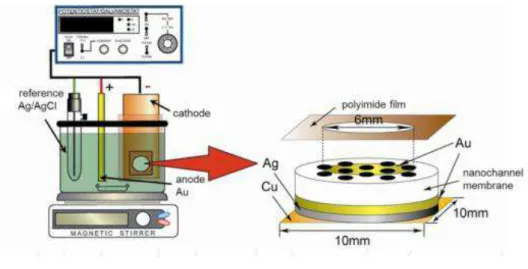 Figura 7: Esquema do aparato para eletrodeposição de nanofios. 