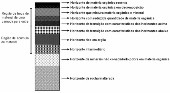 Figura 2.1. Perfil idealizado do solo.   Fonte: Vieira (1988). 