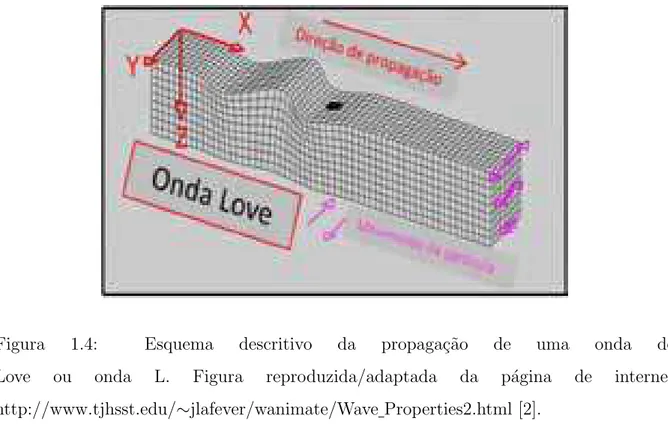 Figura 1.4: Esquema descritivo da propaga¸c˜ao de uma onda de Love ou onda L. Figura reproduzida/adaptada da p´agina de internet http://www.tjhsst.edu/∼jlafever/wanimate/Wave Properties2.html [2].
