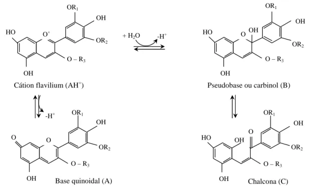 Figura 3.7: Transições das estruturas das antocianinas em função do pH. 