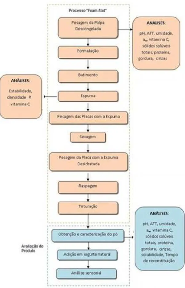 Figura 3.2: Fluxograma experimental da obtenção e avaliação de pós de fruta pelo  processo foam-mat