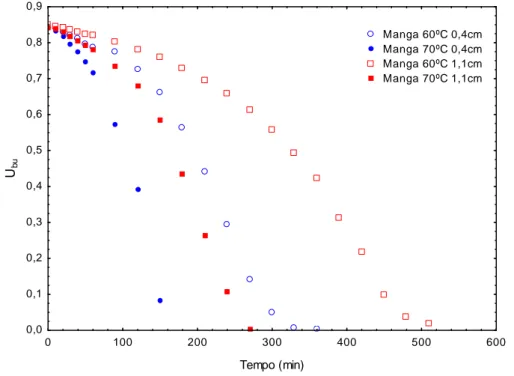 Figura 4.5: Curva de secagem da espuma de manga nas temperaturas de 60°C  e 70°C e espessuras de 4 mm e 11 mm