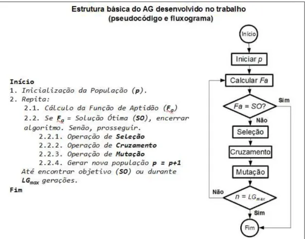 Figura 3.8  – Estrutura básica do AG desenvolvido no trabalho. 