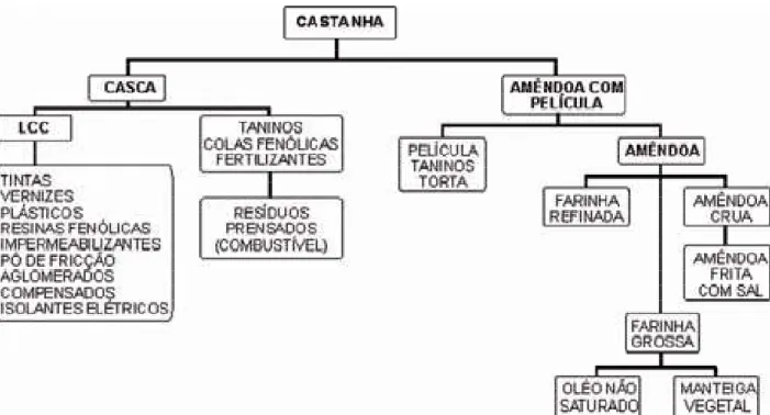 Figura 5. – Fluxograma dos subprodutos da castanha de caju e sua aplicabilidade. 