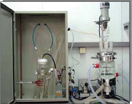 Figura 10 – Foto do aspecto geral do reator fotoquímico do LSCP/USP 