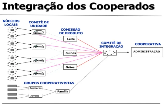 Figura 02 – A integração dos cooperados nas cooperativas agropecuárias, no Paraná. 