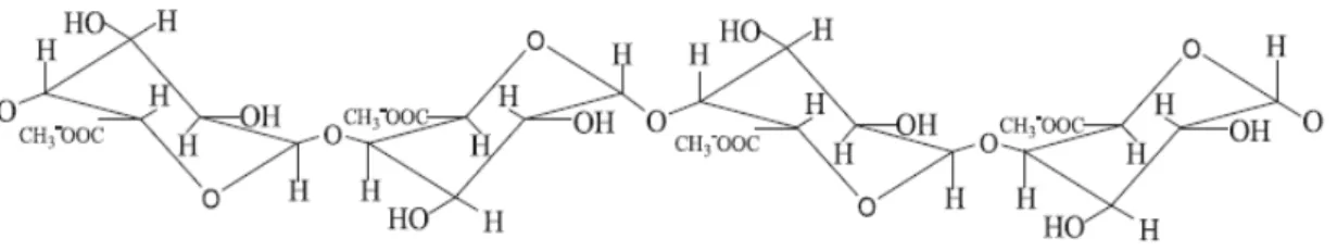 Figura 2.6 - Estrutura primária de uma molécula de pectina. Fonte: Alkorta, et al.,1998