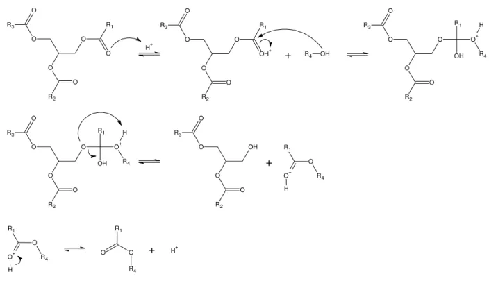 Figura 2.7  – Mecanismo da reação de transesterificação por catálise ácida em meio  homogêneo 