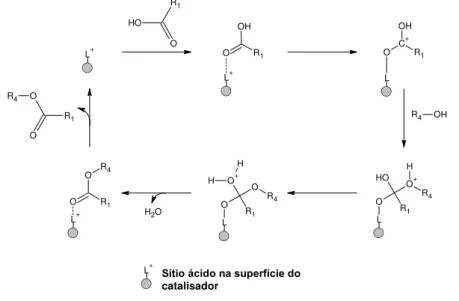 Figura 2.9  – Mecanismo da reação de esterificação por catálise ácida heterogênea 
