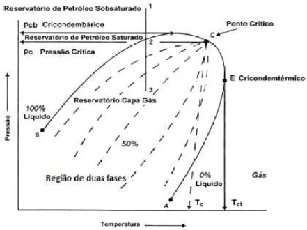 Figura 3.4 - Diagrama de fases (Guiteras, 2003). 