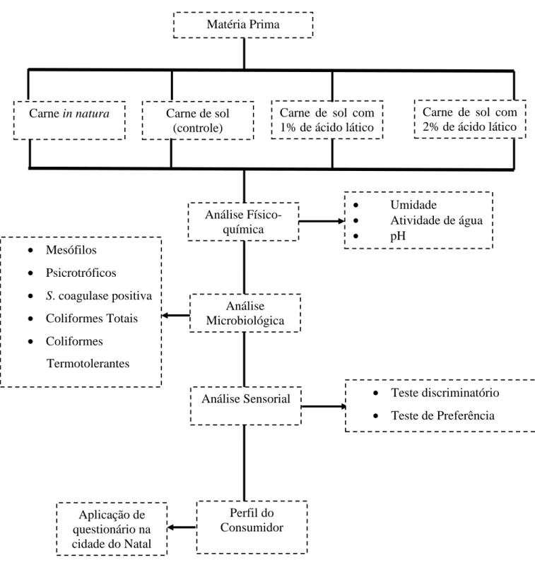 Figura 3.1 -   Fluxograma experimental da pesquisa.Matéria Prima 