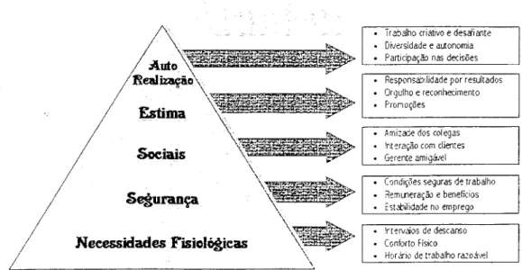 Figura 2.1  - A Hierarquia das Necessidades Humanas e os Meios de Satisfação 