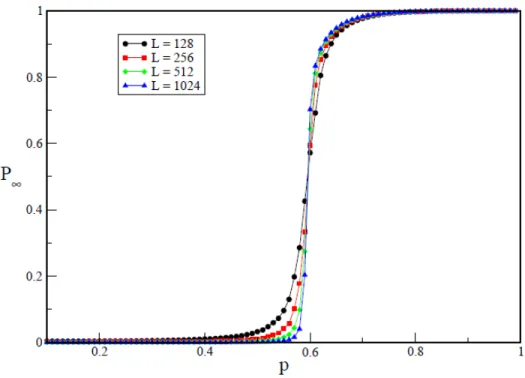 Figura 1.4: Curvas P ∞ × p para diferentes tamanhos L de rede em percola¸c˜ao por s´ıtios