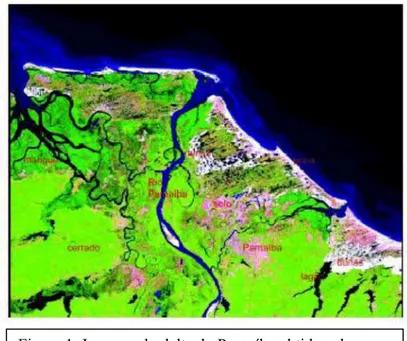 Figura 1: Imagem do delta do Parnaíba obtida pelo  sensor TM a bordo do satélite LANSAT-5, em  10-06-1991