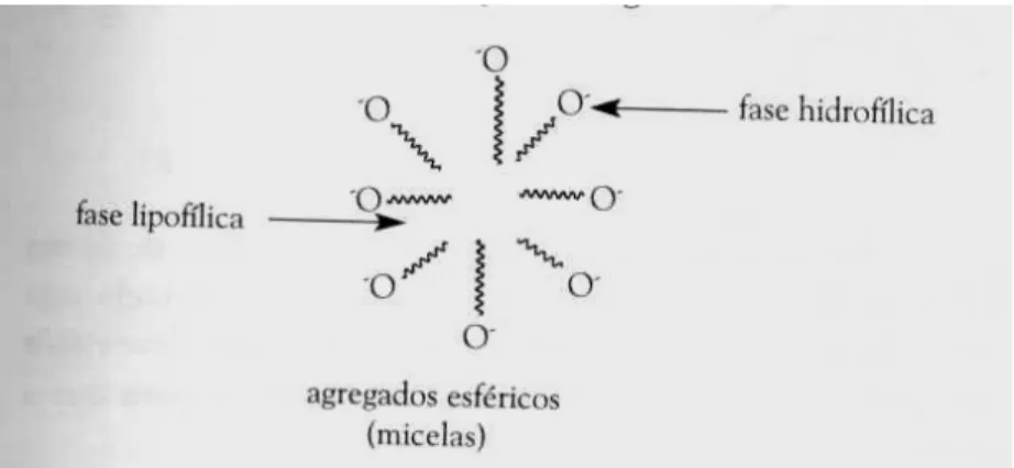 FIGURA  2.  Micela  do  surfactante  (do  inglês  surface  active  agents  =  surfactants)  em  meio  aquoso  após  atingir  a 