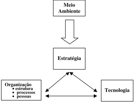 Figura 5 – Modelo Simplificado de Organização (Bloch et al.,1996a) 
