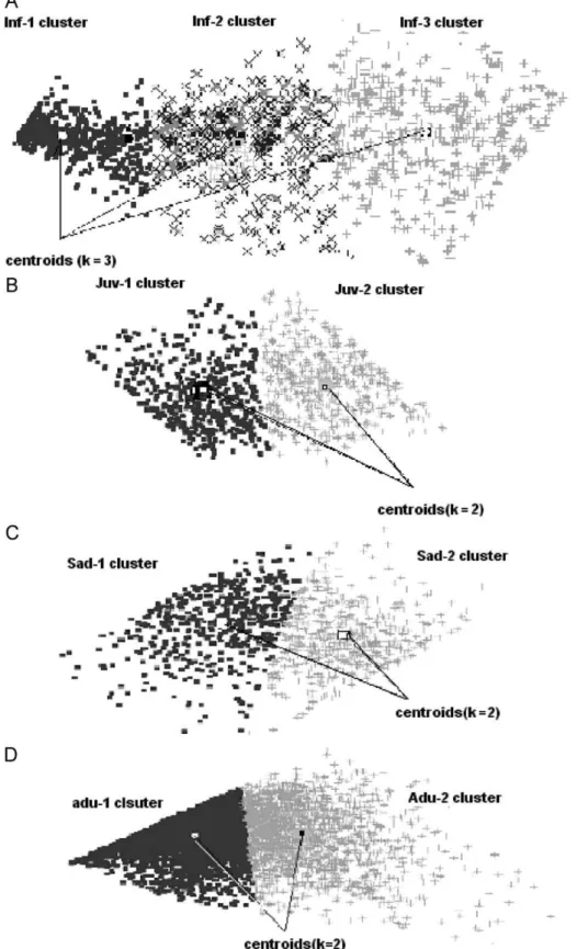 Fig. 2. Classification map calculated for Infantile (A), Juvenile (B), Sub adult (C) and Adult (D) classes showing the clusters and their respective centroids (k) for each class