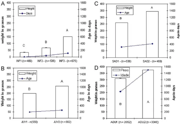 Fig. 3. Developmental stages found using weight and age variables by K-means and SOM analysis for common marmosets, based on classification proposed by Yamamoto
