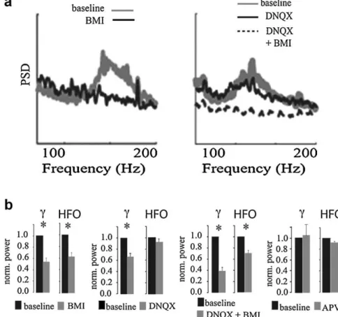 Fig. 11. HFOs depend on fast GABAergic but not glutamatergic transmission. (a) Representative power spectra showing that in vitro HFOs are sensitive to GABA-A receptor blockade by bicuculline (BMI) but not to AMPA/kainate receptor blockade by DNQX
