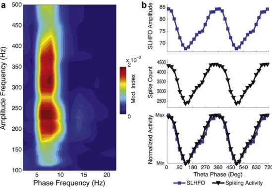 Fig. 9. Theta-SLHFO coupling reﬂects theta phase modulation of spiking activity. (a) Comodulation map showing coupling of theta phase and the amplitude of a wide band of very fast oscillations (deﬁned as SLHFO; see text)