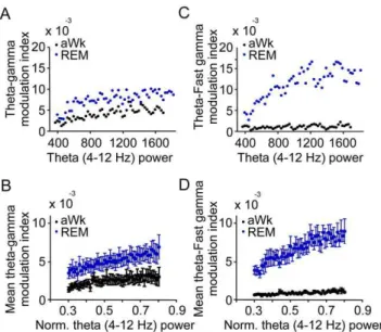 Figure 4. Theta phase coupling of gamma and fast gamma oscillations in parietal cortex depends on theta power, both in active waking (aWk) and REM-sleep (REM)