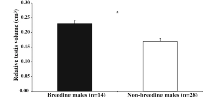 Table I Testicular volume and body mass according to the reproductive status of wild common marmoset (Callithrix jacchus) males at FLONA Nisia Floresta, Brazil