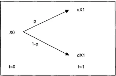 Figura 4.1  - Representação Binomial 