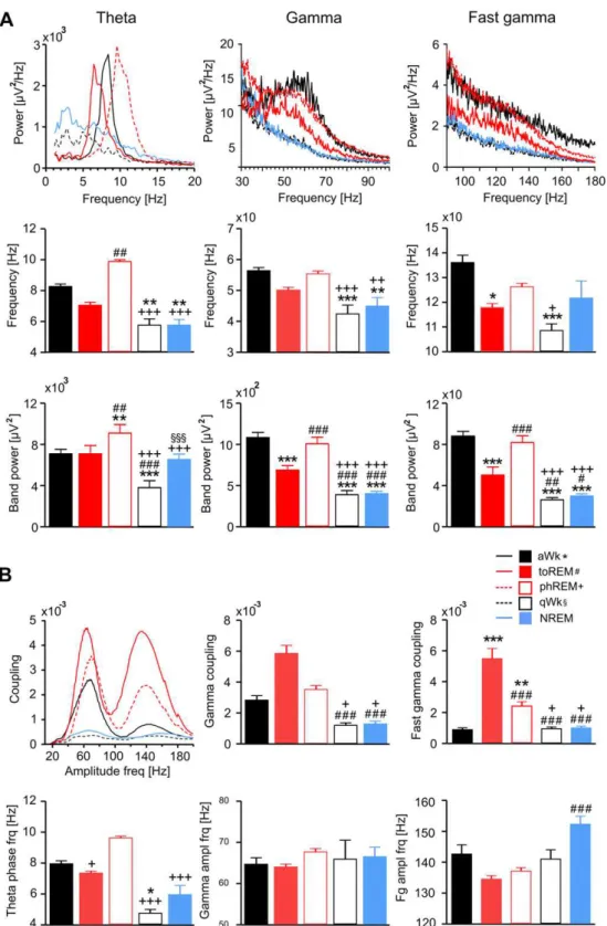 Fig. 2. Power spectral content (A) and theta phase coupling of fast oscillations (B) vary strongly across the sleep-wake cycle