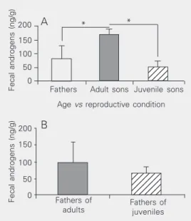 Figure 2. A, Fecal androgen lev- lev-els for adult reproductive males (fathers, N = 6) and  non-repro-ductive males (adult sons, N = 3; juvenile sons, N = 3)