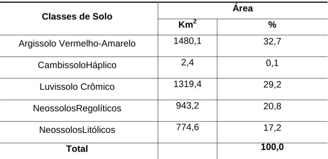 Tabela 4- Resumo das classes de solos da Bacia Santa Cruz 
