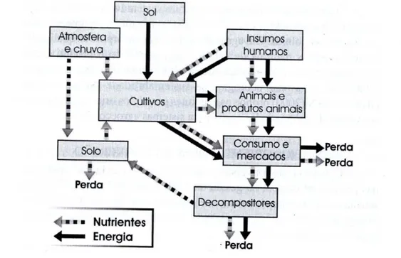 Figura 6: Componentes funcionais de um Agroecossistema. Além dos insumos  naturais fornecidos pela Atmosfera e pelo Sol, um agroecossistema tem todo um  conjunto de insumos humanos, que vêm de fora do sistema