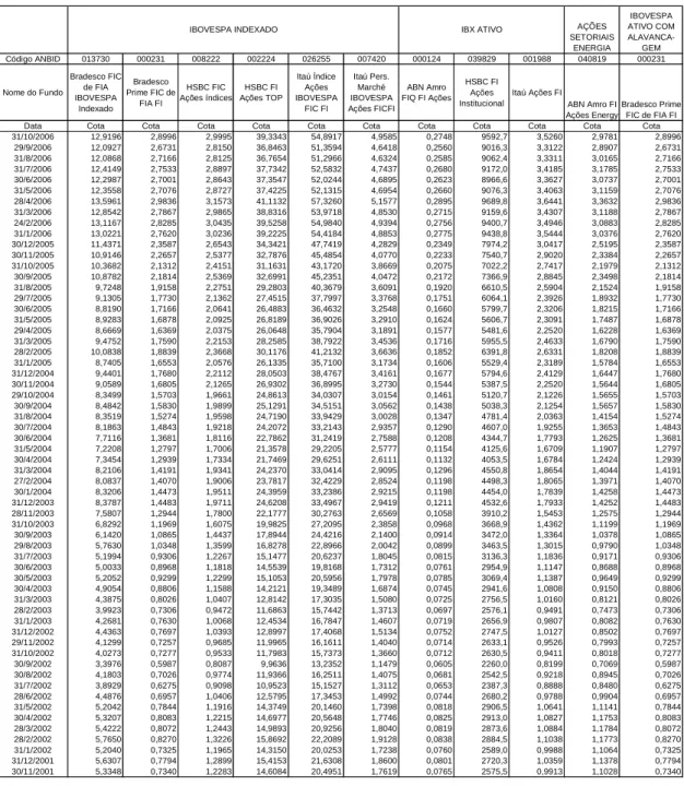 Tabela XIV – Cotas Mensais dos Fundos que Compuseram a Amostra 