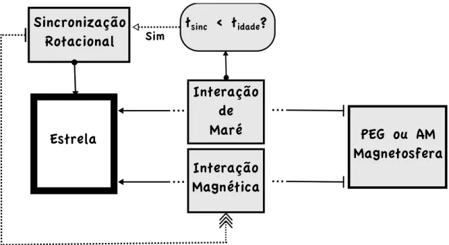 Figura 1.1: Fluxograma representando as interações entre uma estrela e um planeta gigante PEG (ou anã marrom AM) orbitando em torno dela.