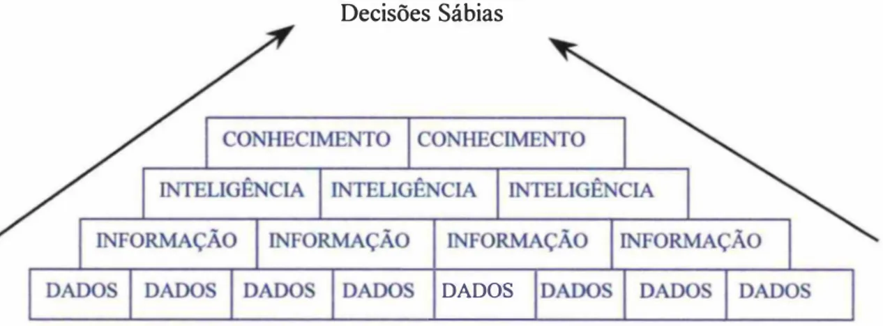 Figura 2 - Pirâmide de Informações 