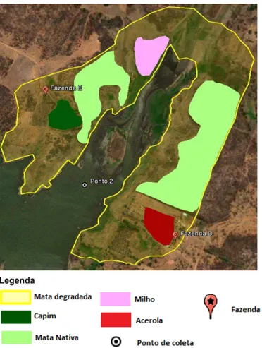 Figura 04: Classificação do uso e ocupação do solo da área 2 nas margens do reservatório Dourado,  Currais Novos - RN