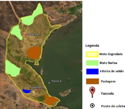 Figura 6: Classificação do uso e ocupação do solo da área 4 nas margens do reservatório Dourado,  Currais Novos - RN