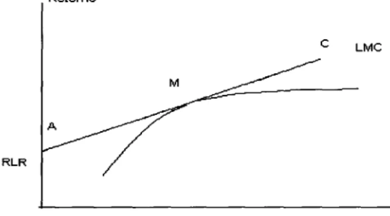 Gráfico 5 - Simulação da LMC e a fronteira eficiente 
