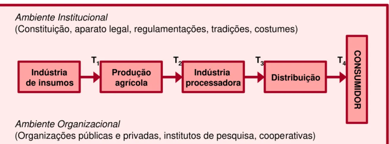 Figura 1 – Representação Analítica do Sistema Agroindustrial 