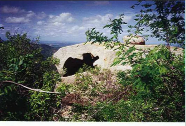 Figura 22  – Aspectos da rocha que dá nome à Serra Bico da Arara 