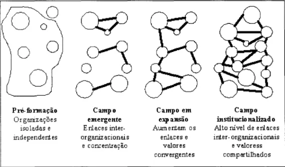 Figura 2 - Estágios de formação de um campo organizacional 
