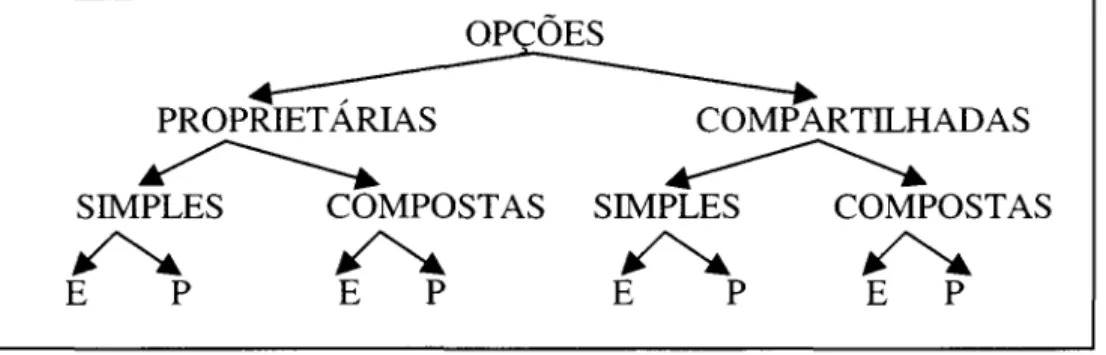 Figura 3.3  - Classificação de Opções - Trigeorgis (1993) 